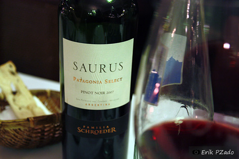     Saurus, vinho patagônico, o vinho consumido pelo T-Rex, pelos Brontossauros, etc. Imagem: Erik Pzado.