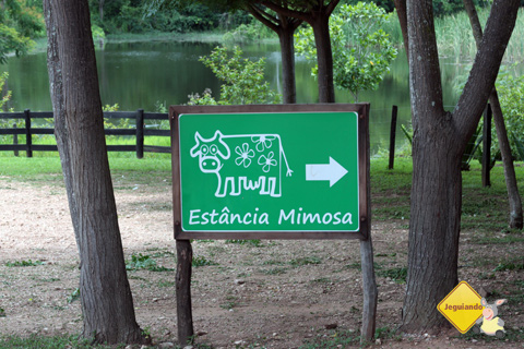 Bem vindo à Estância Mimosa! Bonito, Mato Grosso do Sul. Imagem: Erik Pzado.