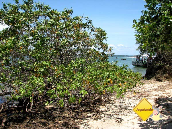 Ilha da Pedra Furada. Baía de Camamu, Bahia. Imagem: Janaína Calaça