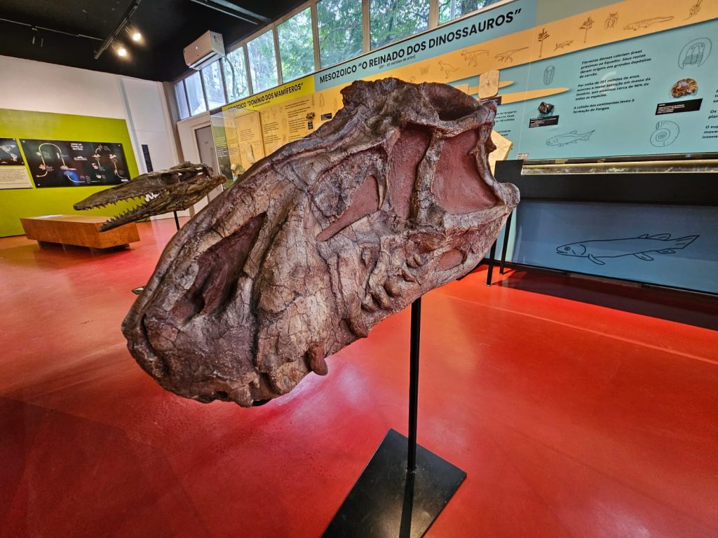 Cabeça de dinossauro