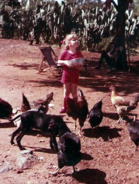 Eu alimentando dando milho para as galinhas, em minha segunda viagem a Floresta, Pernambuco. Eu alimentando dando milho para as galinhas, em minha segunda viagem a Floresta, Pernambuco.