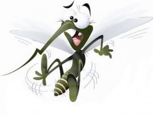Usar repelentes de mosquitos em Bonito: uma necessidade.