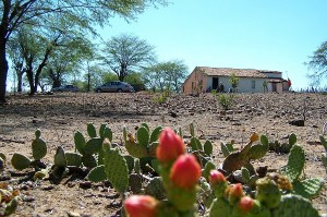 Velha casa, lembranças antigas. Floresta do Navio, Pernambuco. Imagem: Arquivo Jeguiando