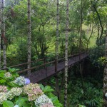 Ponte de acesso ao Chalé da Cachoeirinha. Imagem: Erik Araújo
