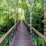 Ponte de acesso ao Chalé da Cachoeirinha. Imagem: Erik Araújo