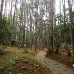 Bosque da Pousada Casa Bonita. Imagem: Erik Araújo