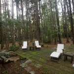 Bosque da Pousada Casa Bonita. Imagem: Erik Araújo