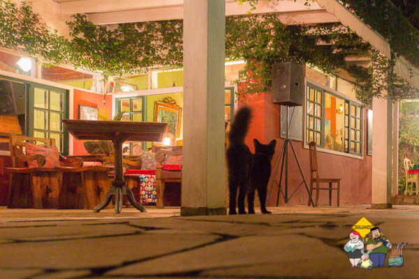 Um visitante noturno. Imagem: Erik Araújo