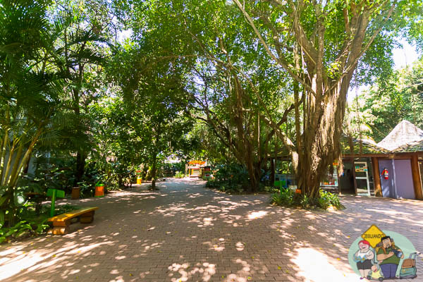 Praça central do parque. Imagem: Erik Araújo