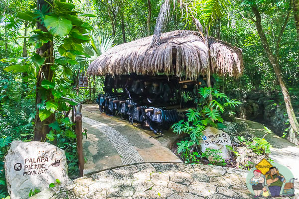 Cenote da água. Imagem: Erik Araújo