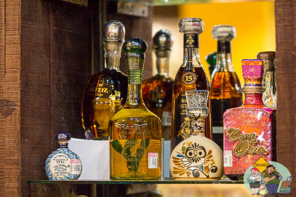 Tequilas tradicionais. Imagem: Erik Araújo