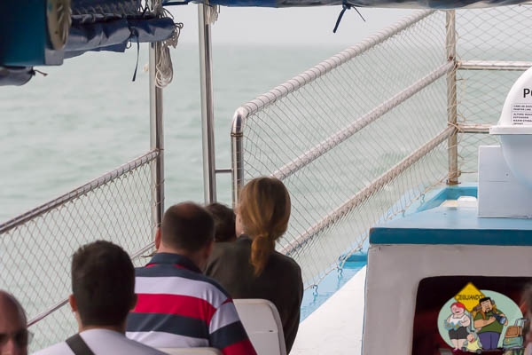 Embarcação do "Baleia à Vista" Imagem: Erik Araújo