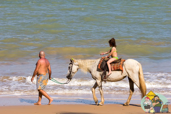 Praia da Pitinga. Imagem: Erik Araújo